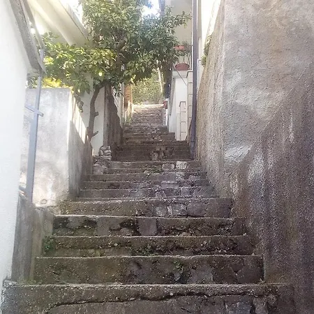 Matko 2* Neum
